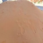 تك رمل احمر فحص