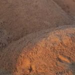 تك الرمل الفحص